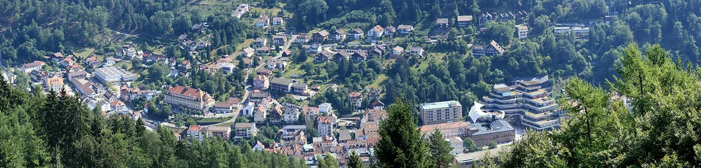 View of Bad Wildbad