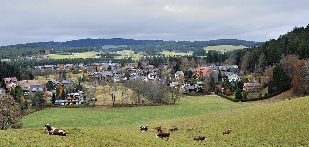 View of Hinterzarten