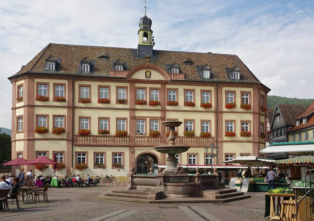 View of Neustadt an der Weinstraße