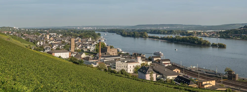 View of Rüdesheim am Rhein