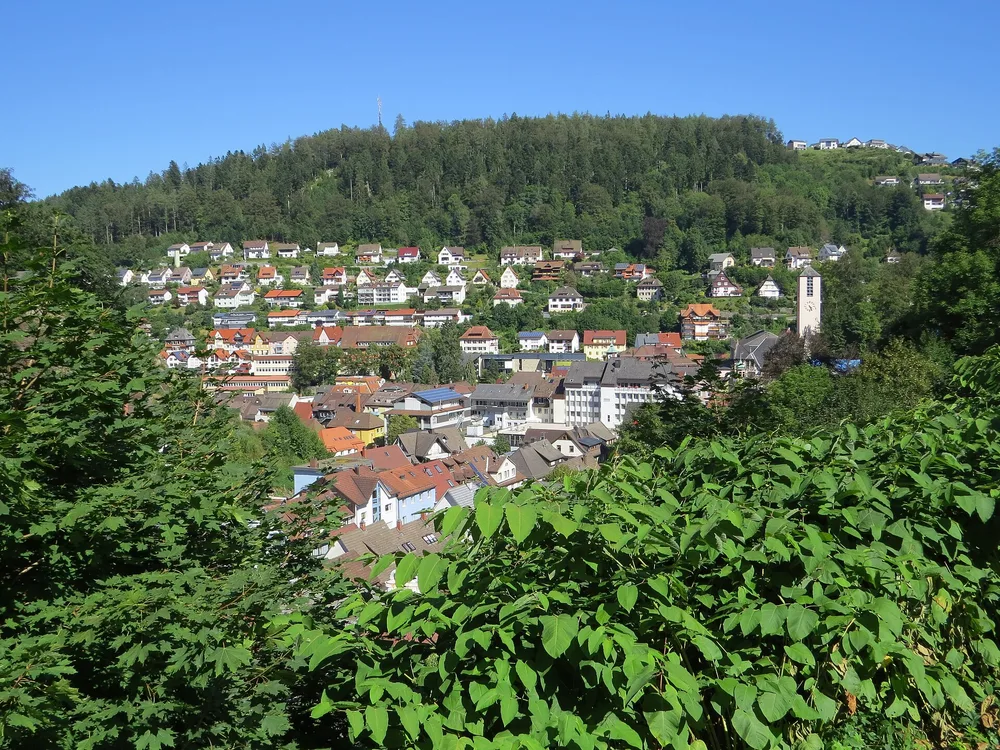 View of Triberg