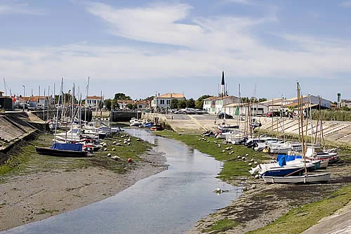 View of Ars-En-Ré