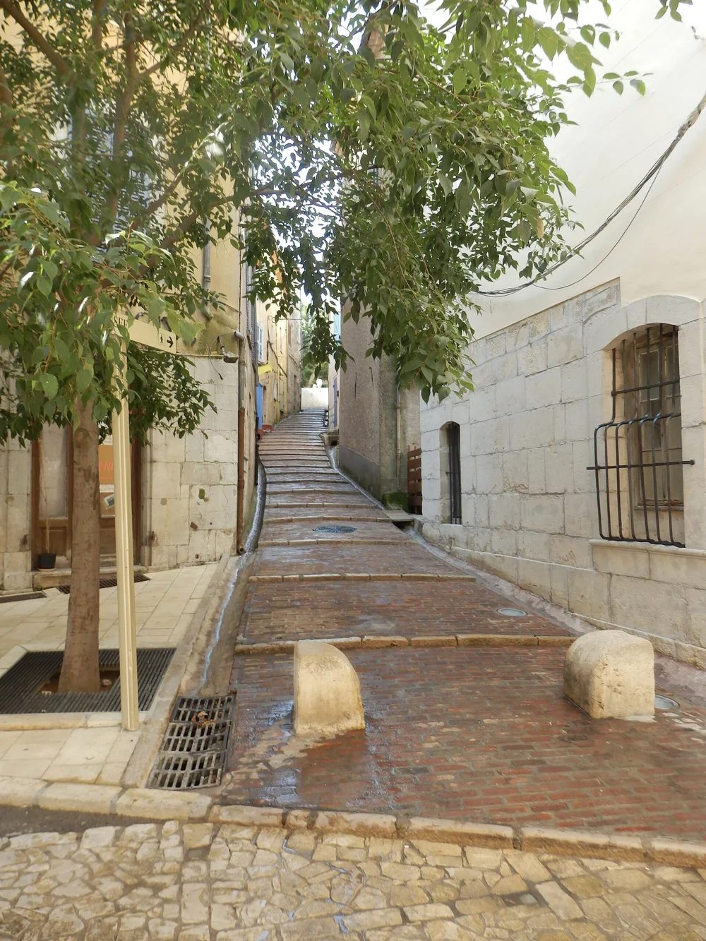 View of Brignoles