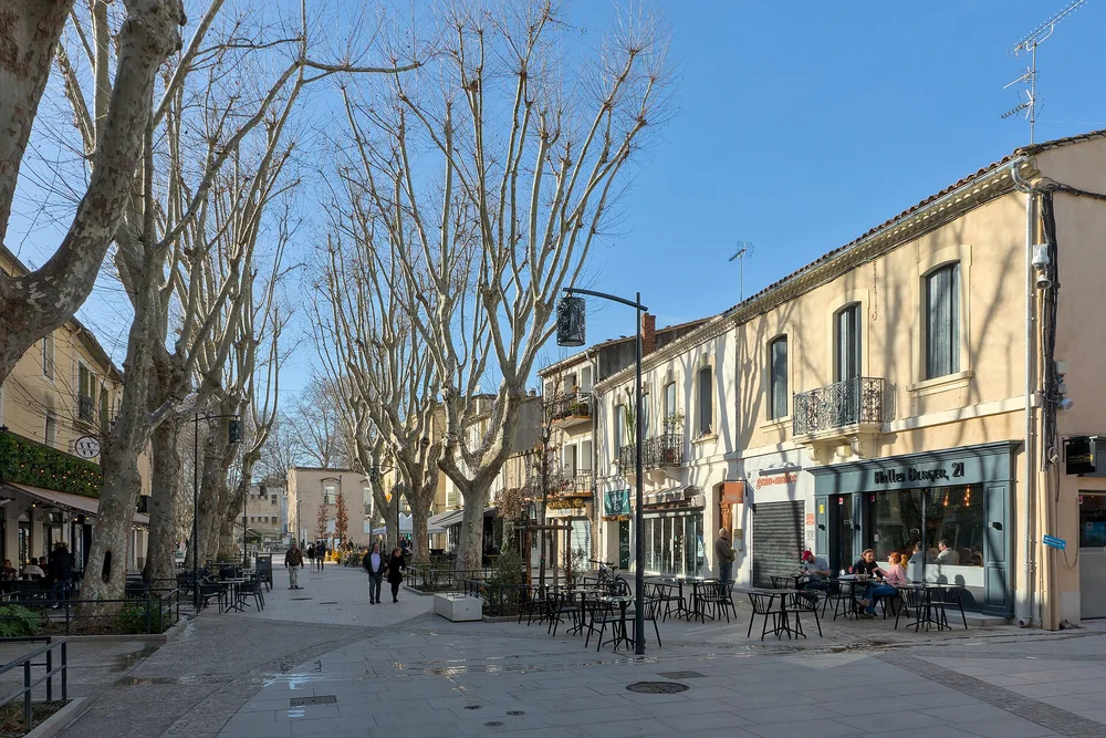 View of Lunel
