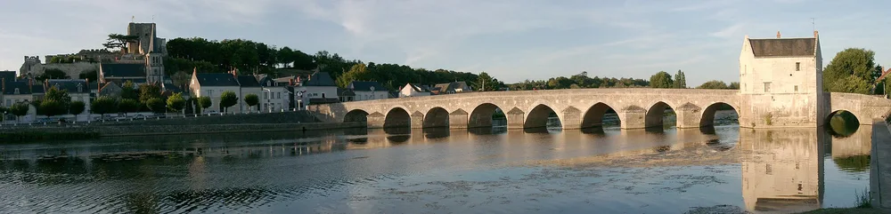 View of Montrichard