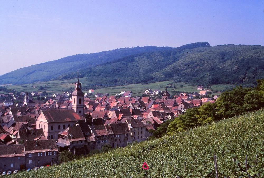 View of Riquewihr