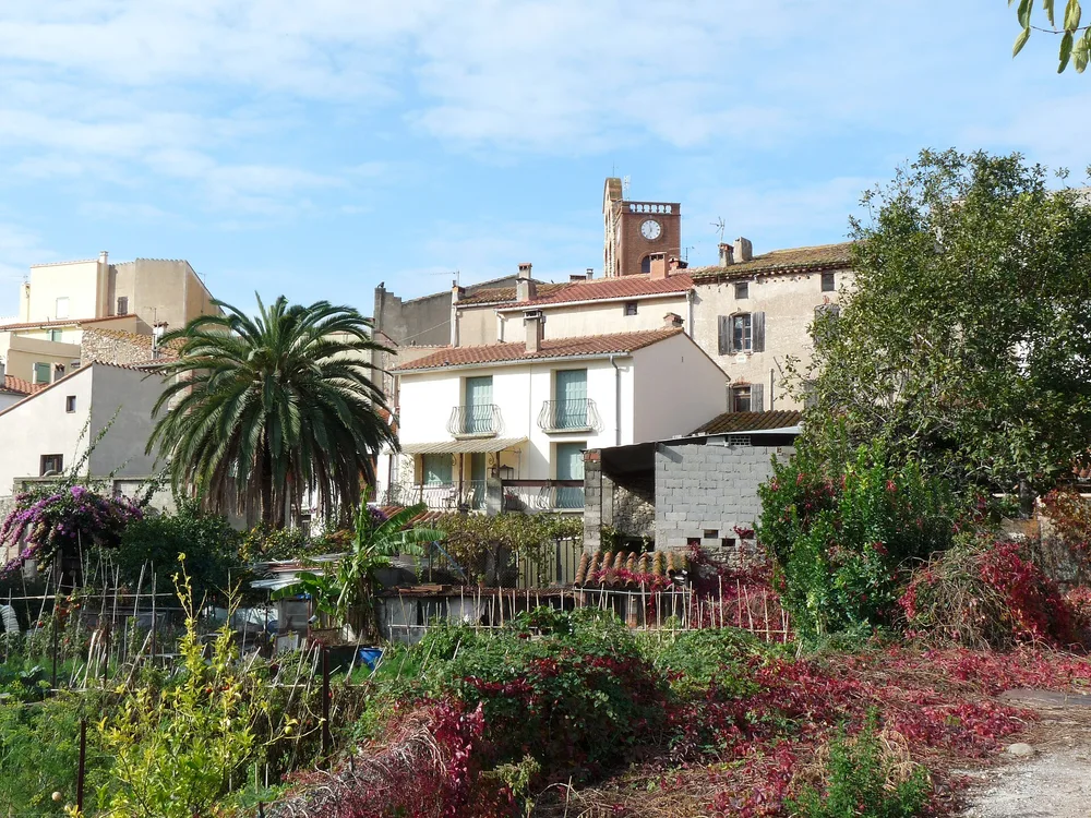 View of Sorède