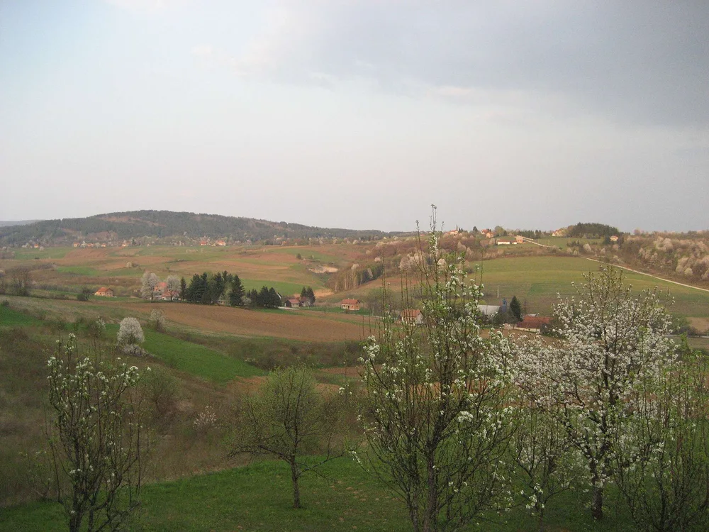 View of Rakovica