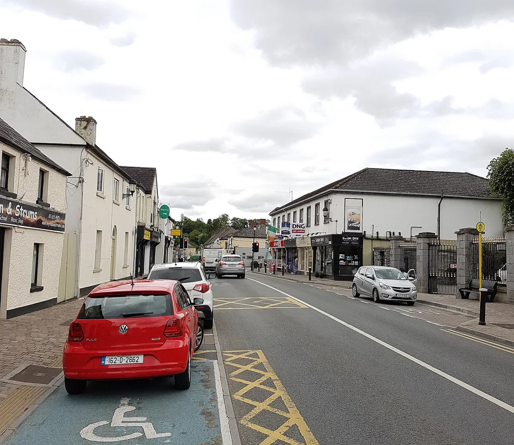 View of Leixlip