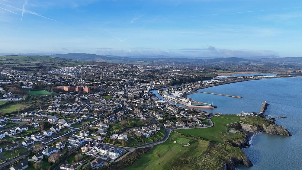 View of Wicklow