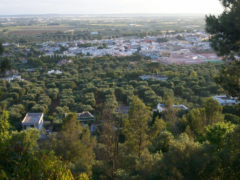 View of Casarano