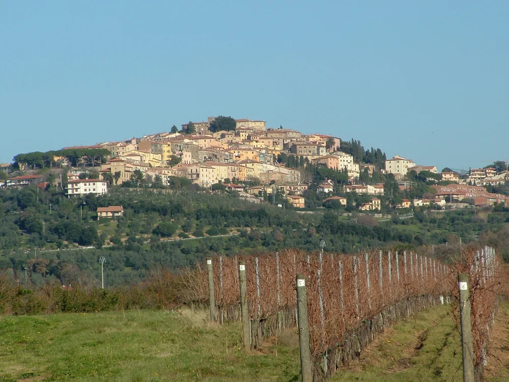 View of Castagneto Carducci