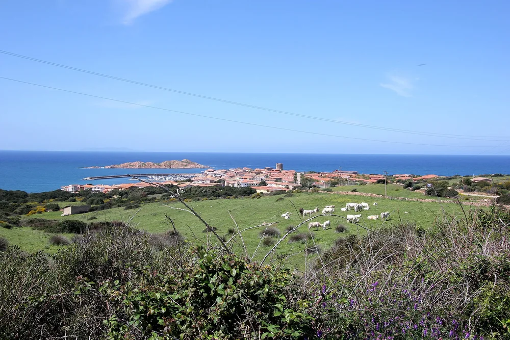 View of Isola Rossa