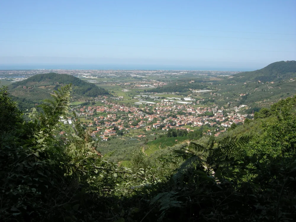 View of Massarosa