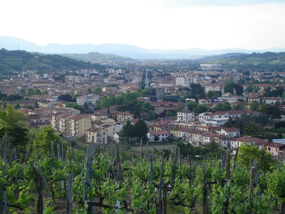 View of Montevarchi