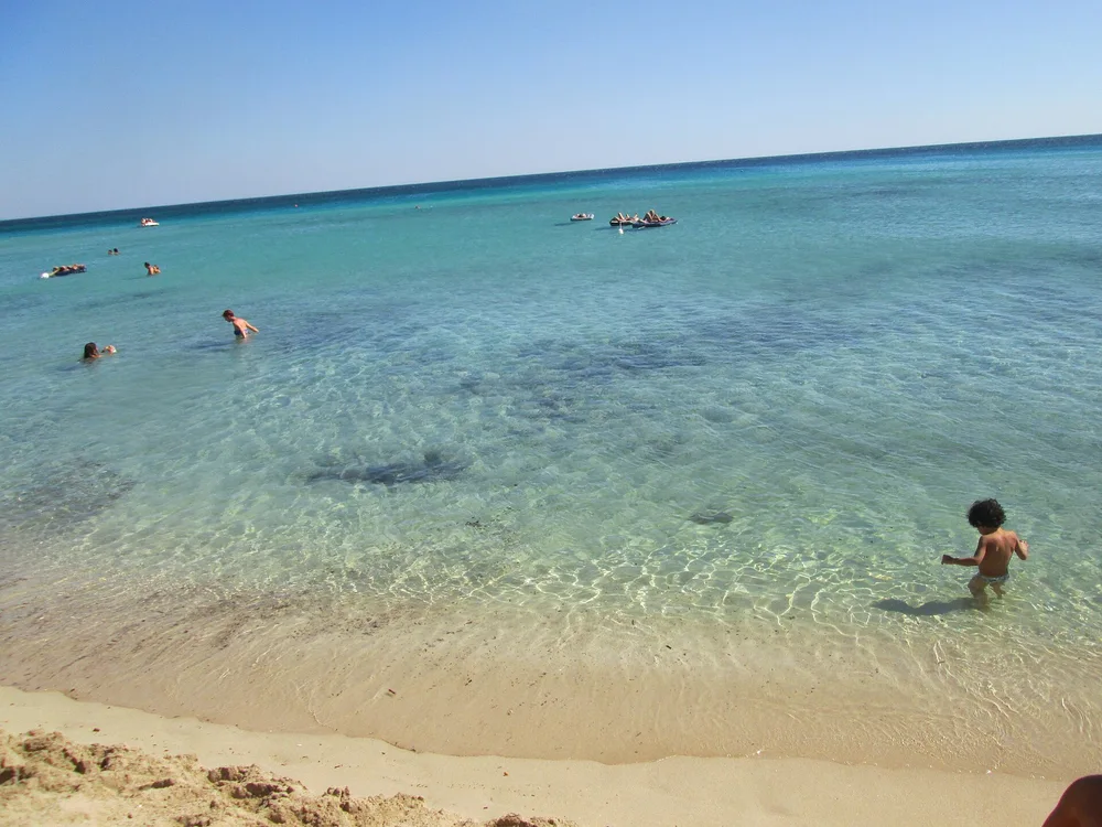View of Punta Prosciutto