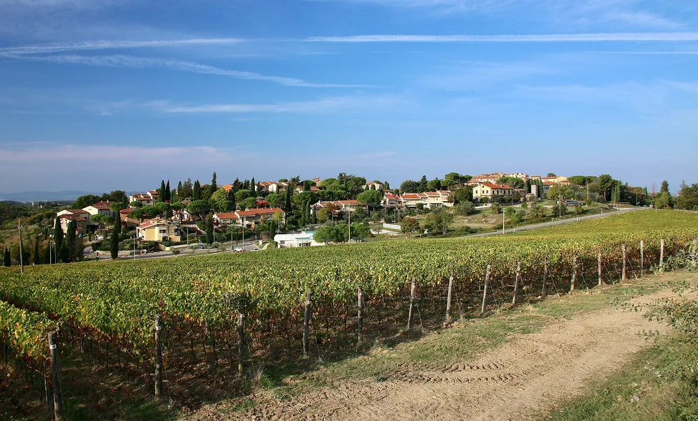View of San Donato in Poggio