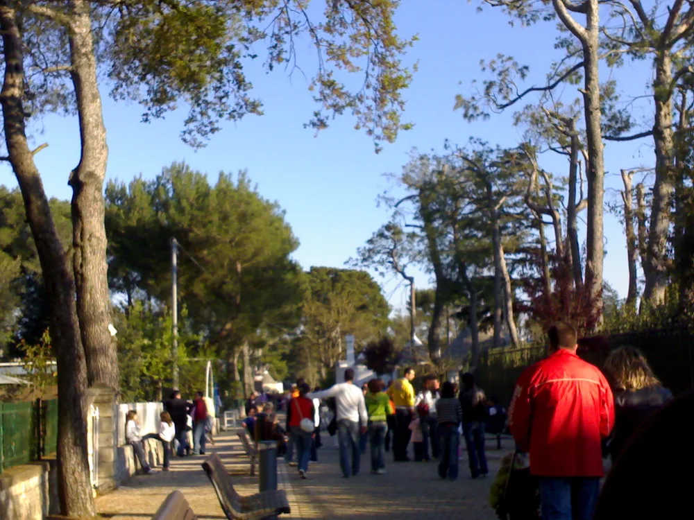 View of Selva di Fasano