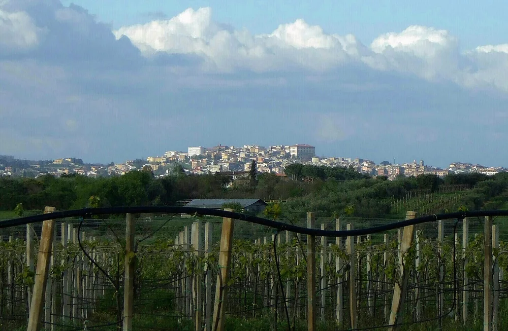 View of Velletri