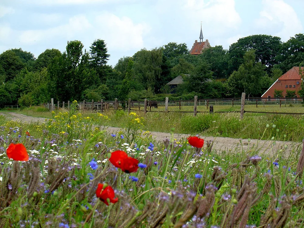 View of Anloo