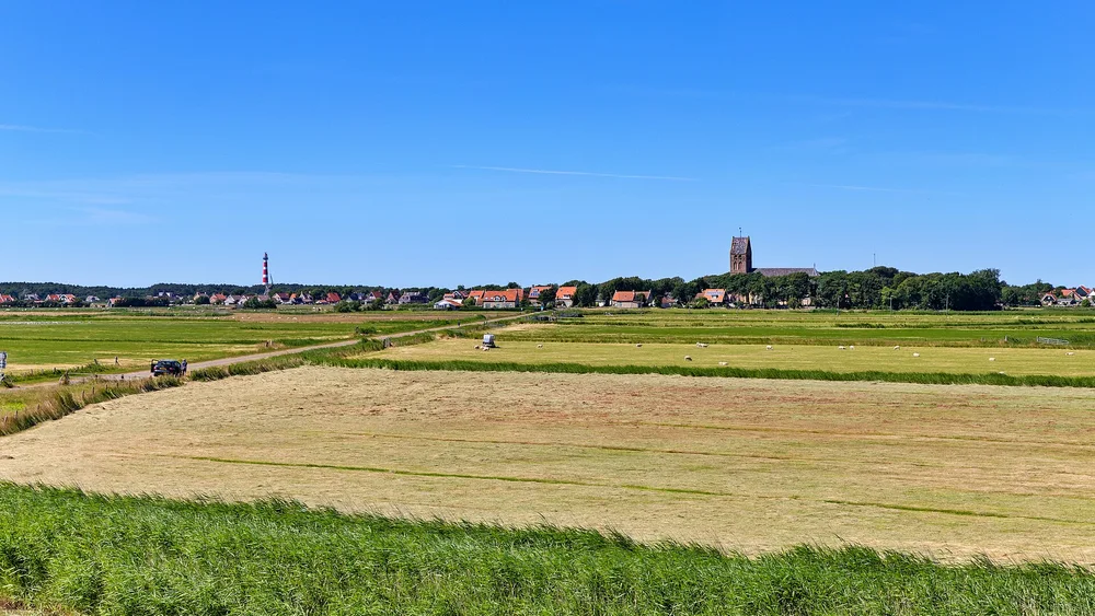 View of Hollum
