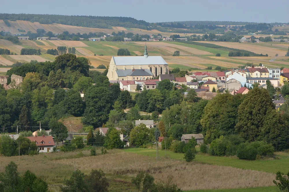 View of Bodzentyn