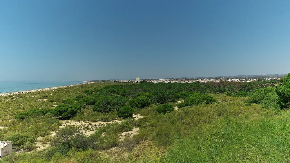 View of Altura