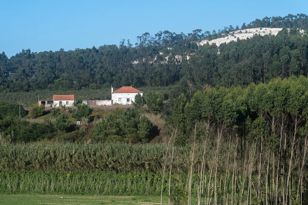 View of Amoreira
