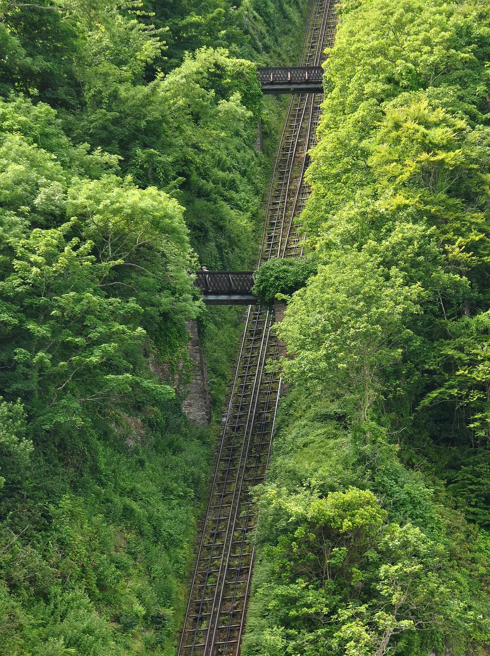 View of Lynton